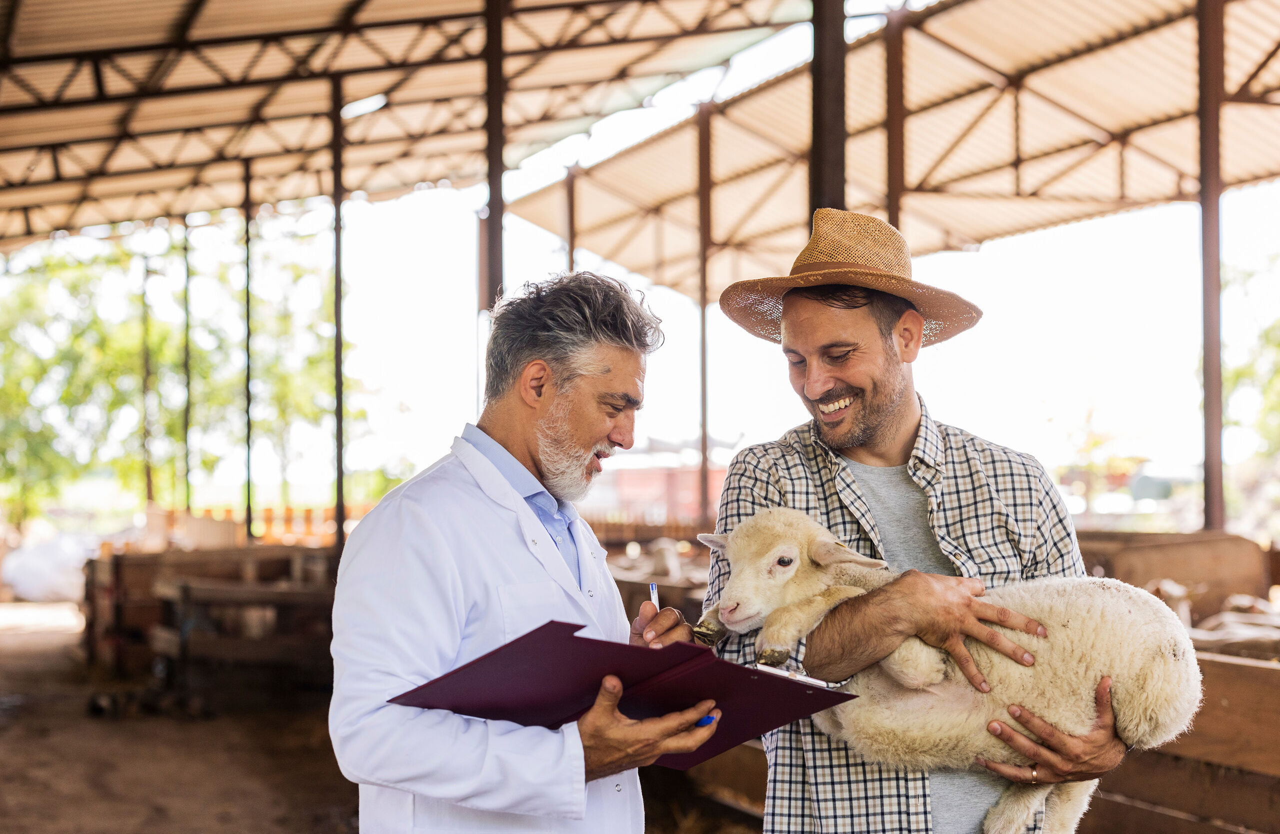 book appointment bottom